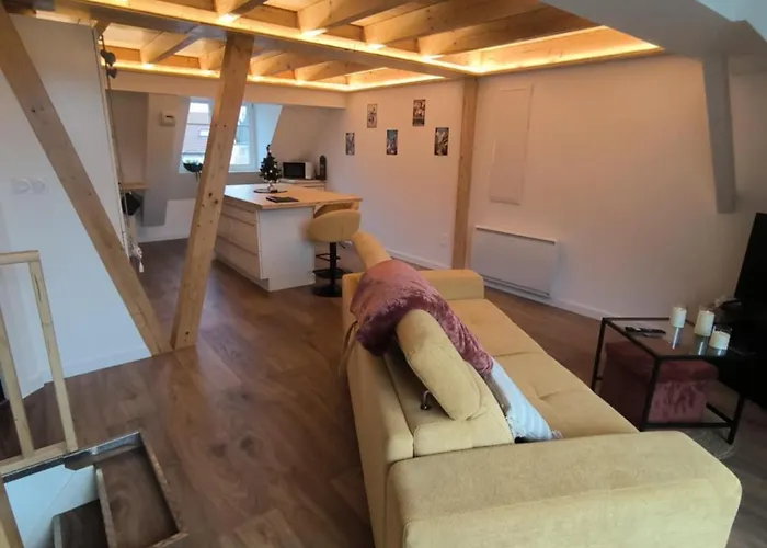 Le Nid De Schatzi Apartment